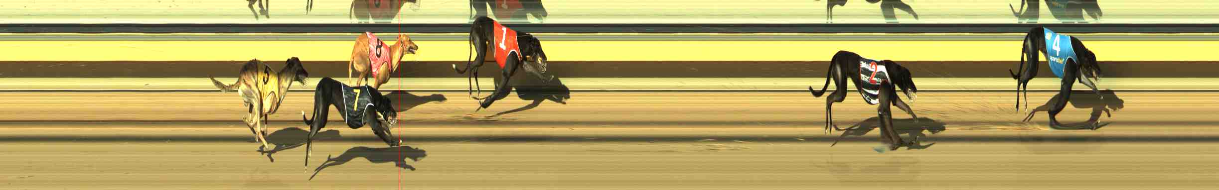 Photo finish for Horsham Race 7