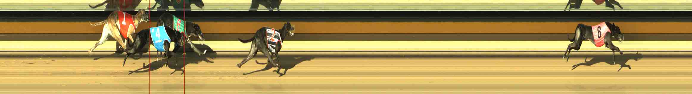 Photo finish for Horsham Race 8