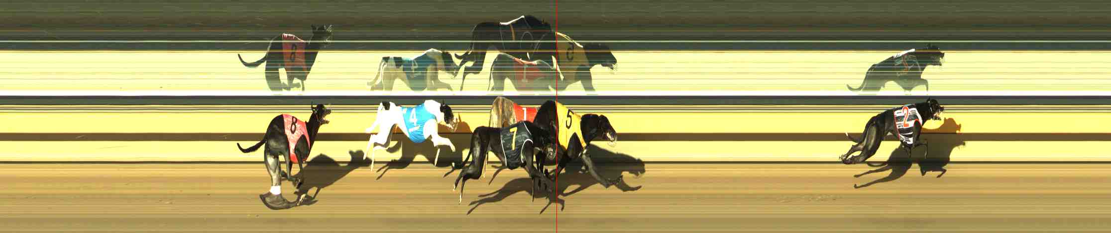 Photo finish for Horsham Race 9