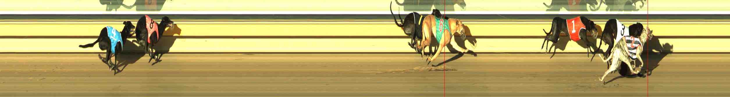 Photo finish for Horsham Race 10