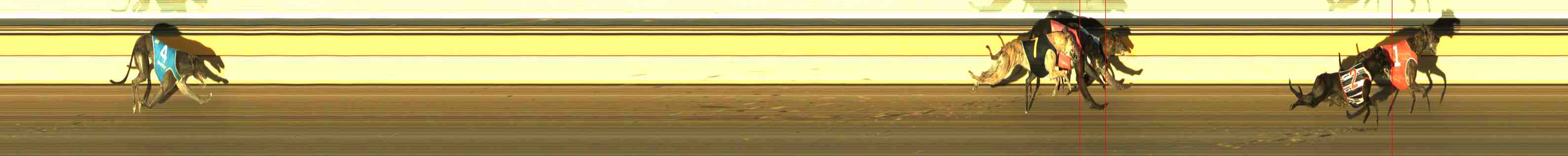 Photo finish for Horsham Race 12