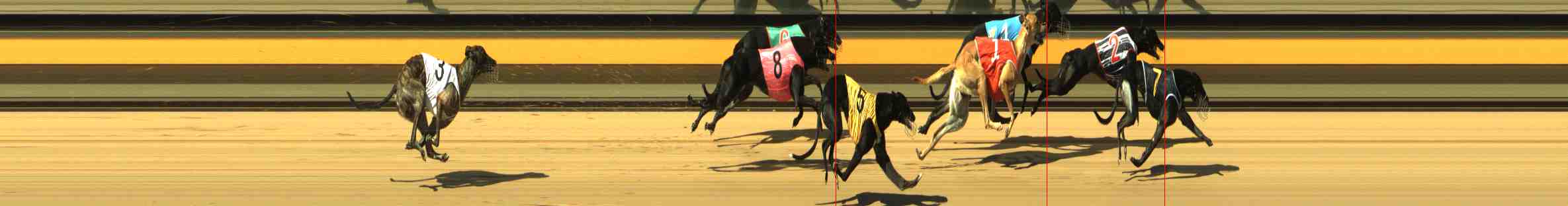 Race result finish photo