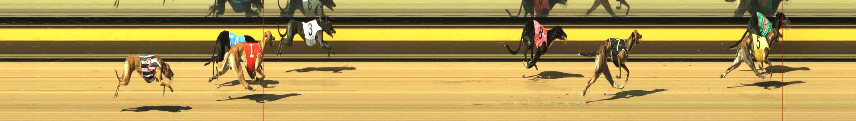 Photo finish for Horsham Race 2