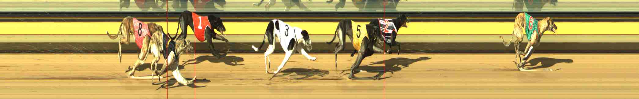 Photo finish for Horsham Race 4