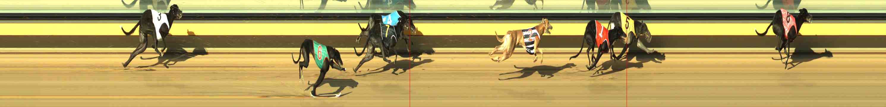 Photo finish for Horsham Race 6