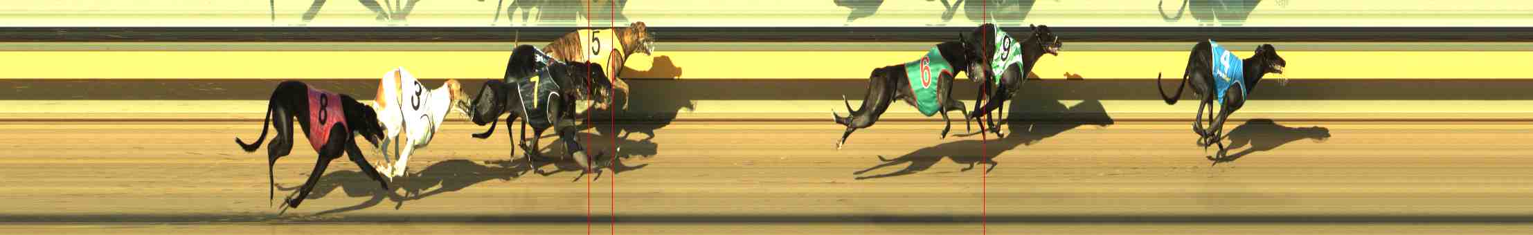 Photo finish for Horsham Race 7