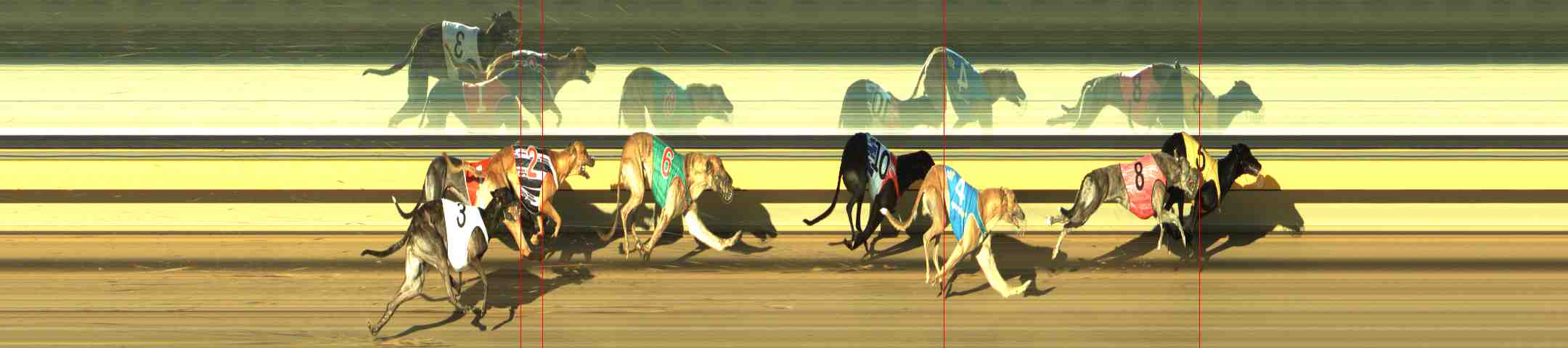 Photo finish for Horsham Race 8