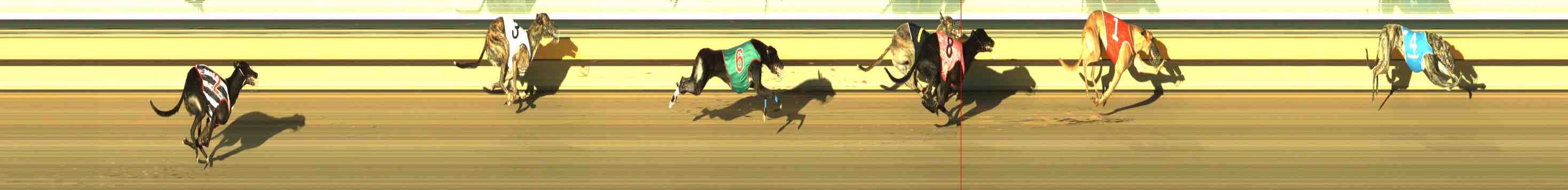 Photo finish for Horsham Race 9