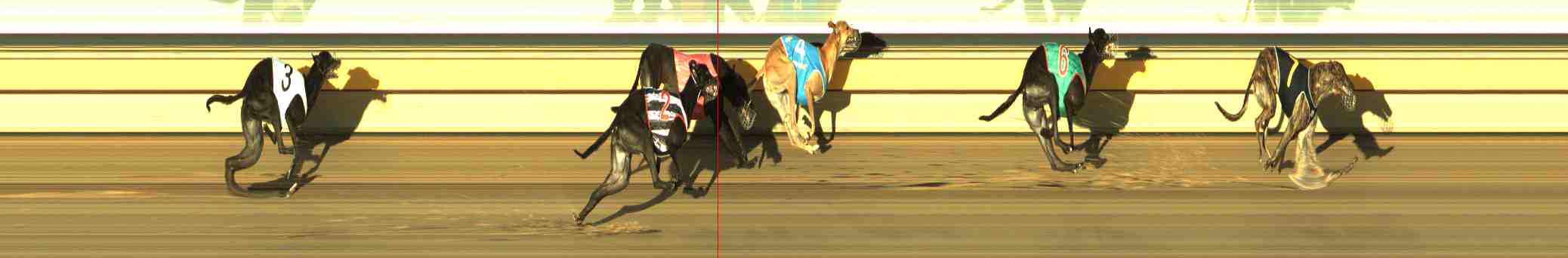Photo finish for Horsham Race 10