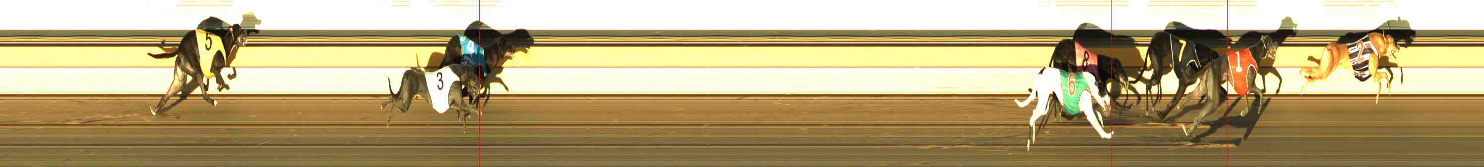 Photo finish for Horsham Race 12