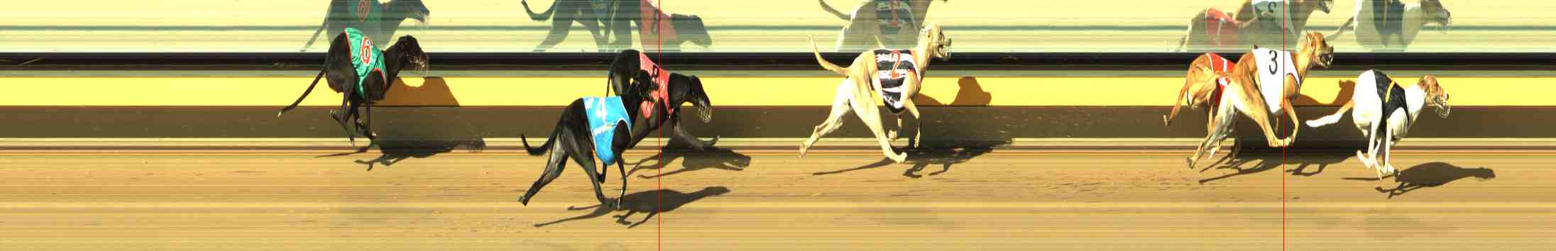 Photo finish for Horsham Race 1