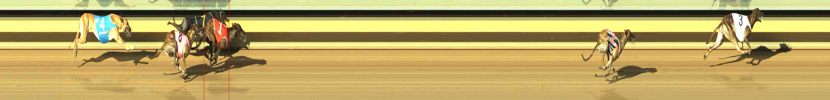 Photo finish for Horsham Race 2