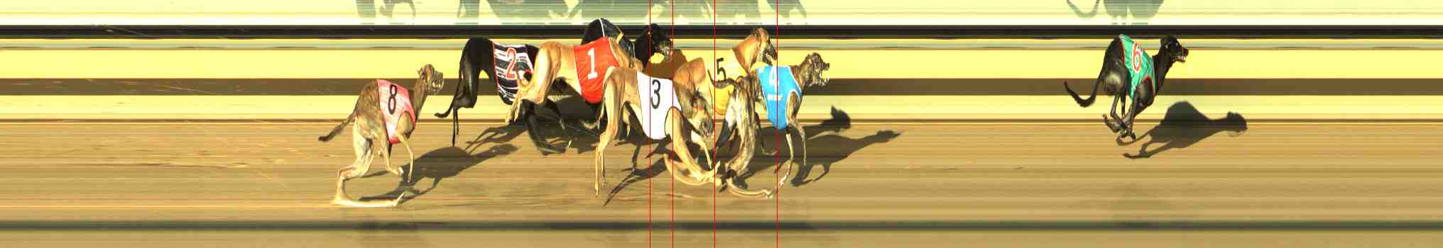 Photo finish for Horsham Race 3