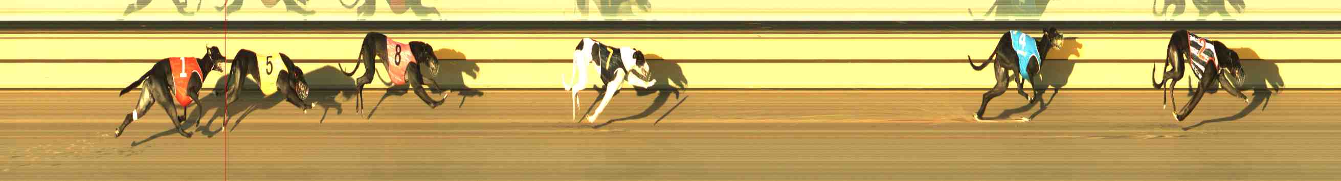 Photo finish for Horsham Race 5