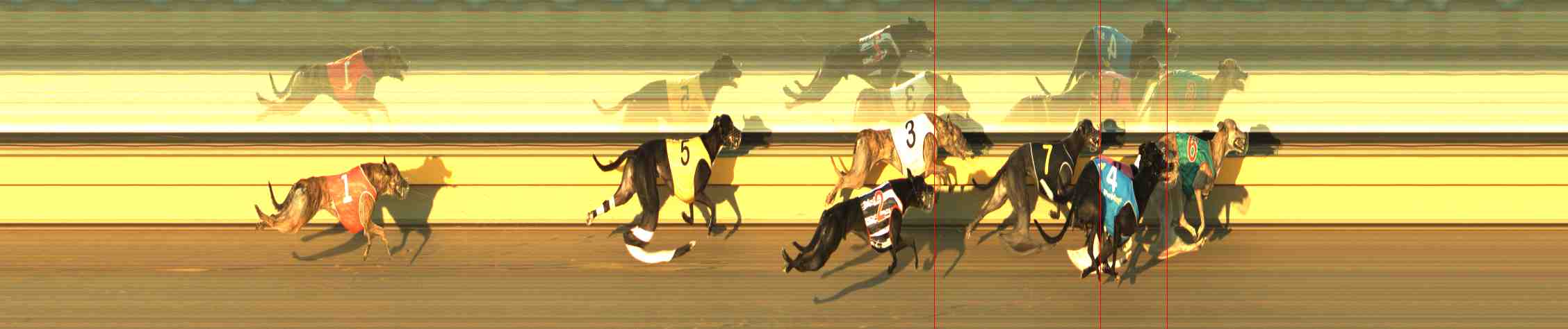 Photo finish for Horsham Race 6