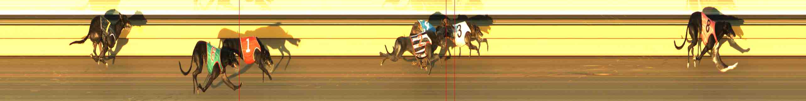 Photo finish for Horsham Race 7
