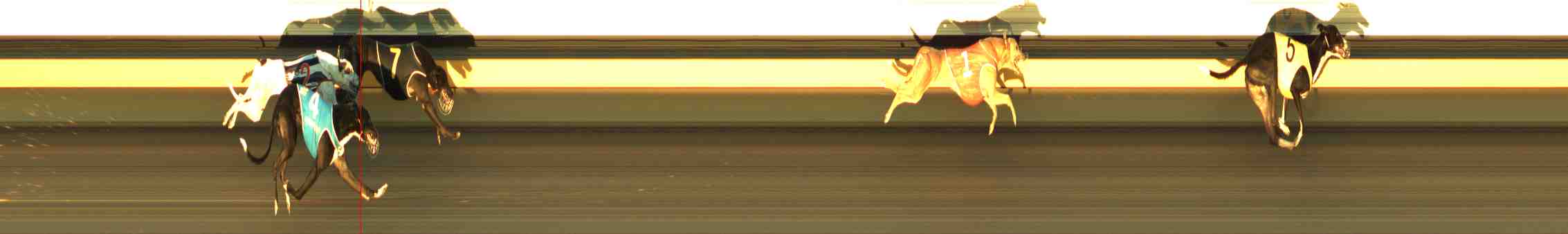 Photo finish for Horsham Race 8