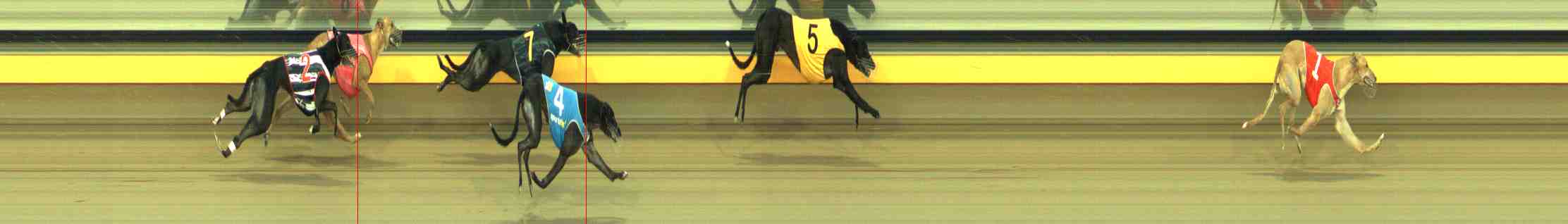 Photo finish for Horsham Race 9