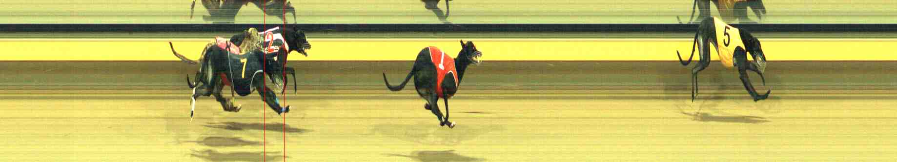 Photo finish for Horsham Race 10
