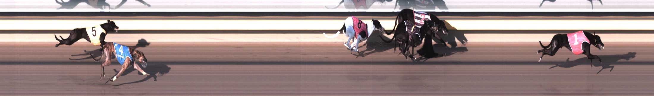 Photo finish for Horsham Race 4
