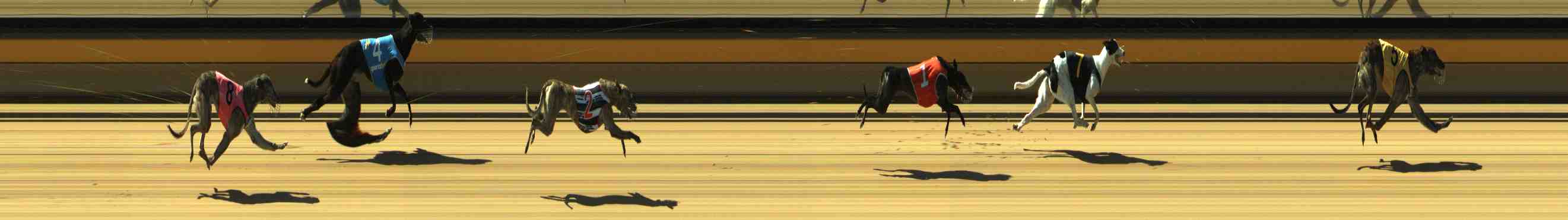 Photo finish for Horsham Race 1