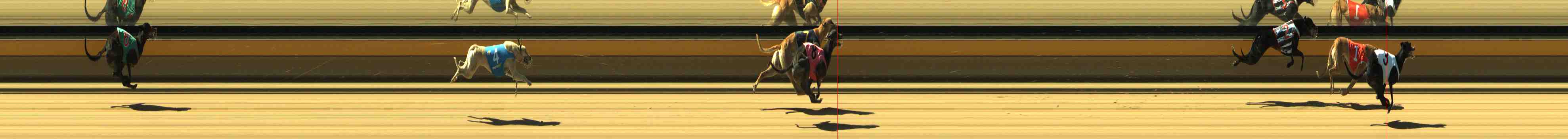 Photo finish for Horsham Race 2