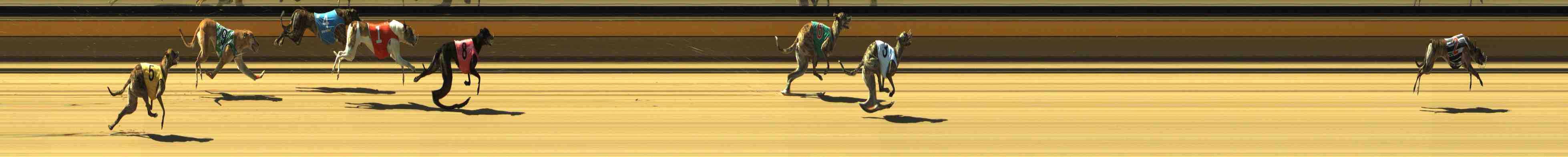Photo finish for Horsham Race 3