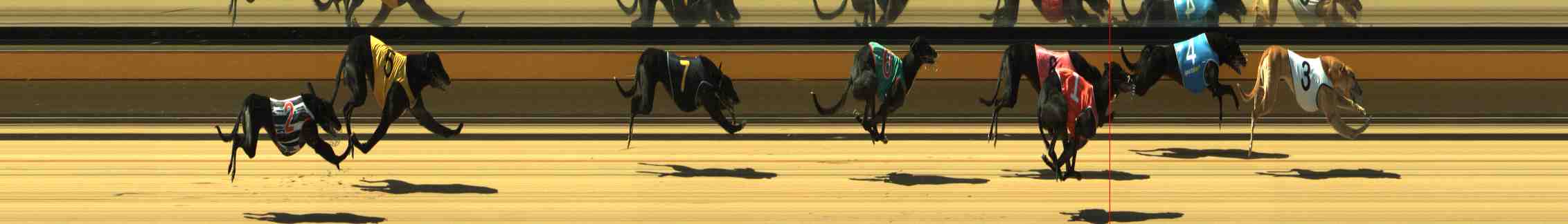Photo finish for Horsham Race 4