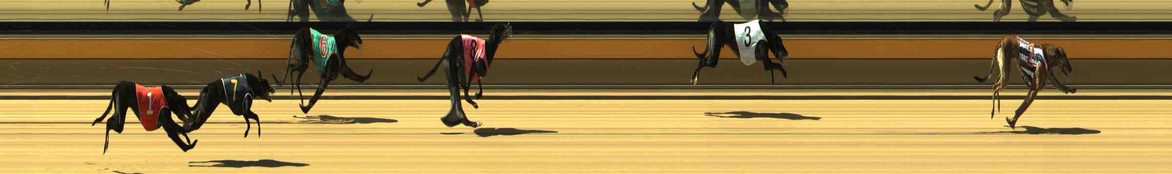 Photo finish for Horsham Race 5