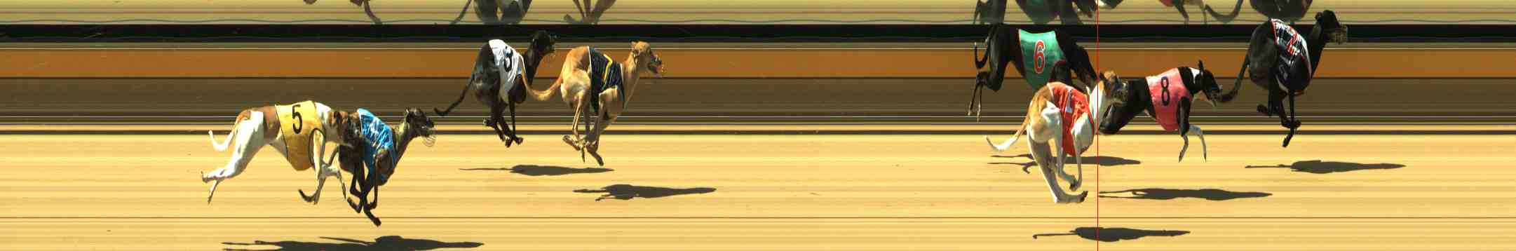 Photo finish for Horsham Race 6