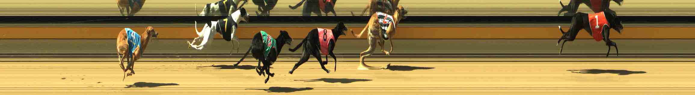 Photo finish for Horsham Race 7