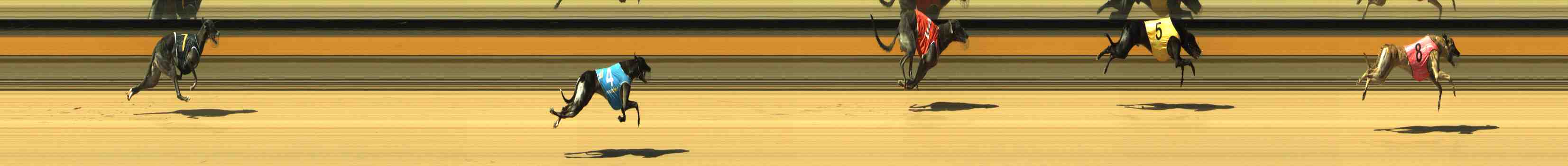 Photo finish for Horsham Race 8