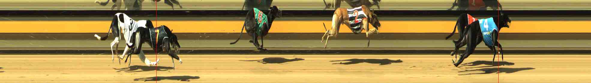 Photo finish for Horsham Race 9