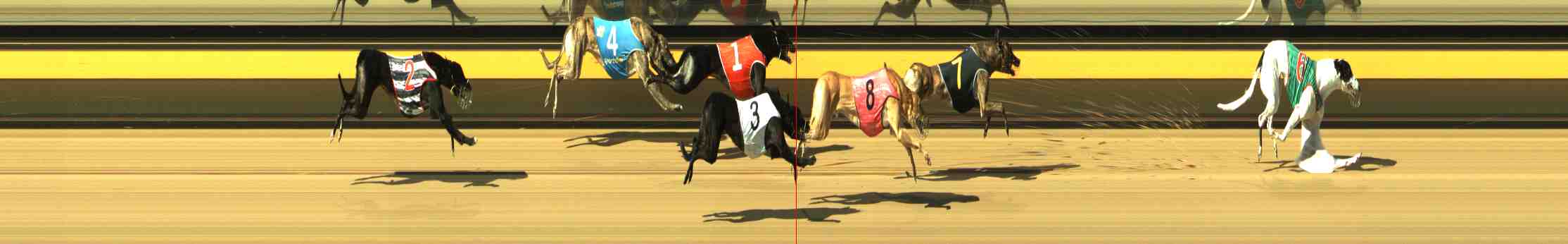 Photo finish for Horsham Race 10