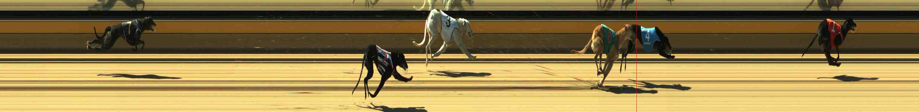 Race result finish photo