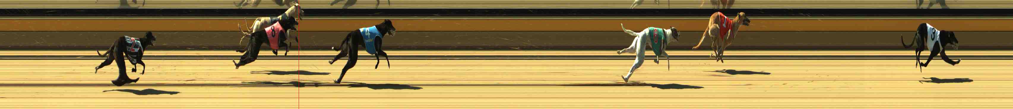 Photo finish for Horsham Race 2