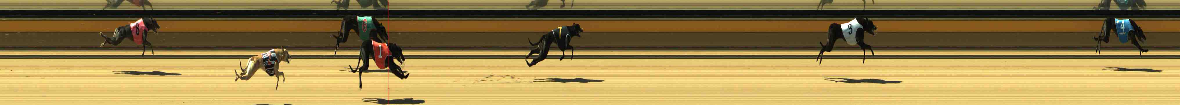 Photo finish for Horsham Race 3