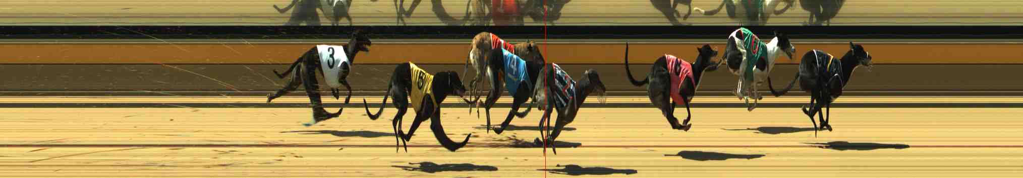 Photo finish for Horsham Race 4