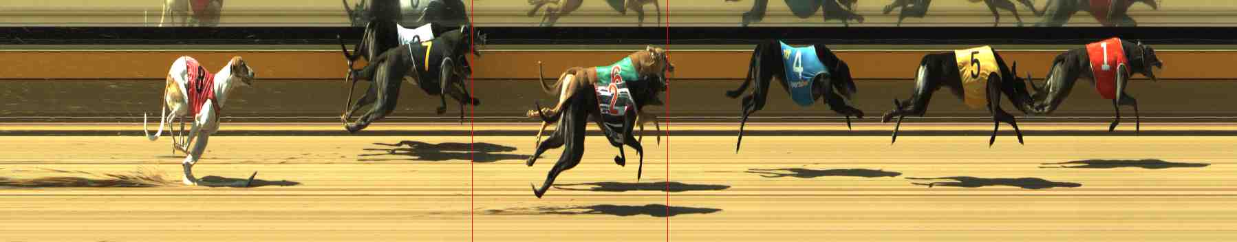 Photo finish for Horsham Race 5