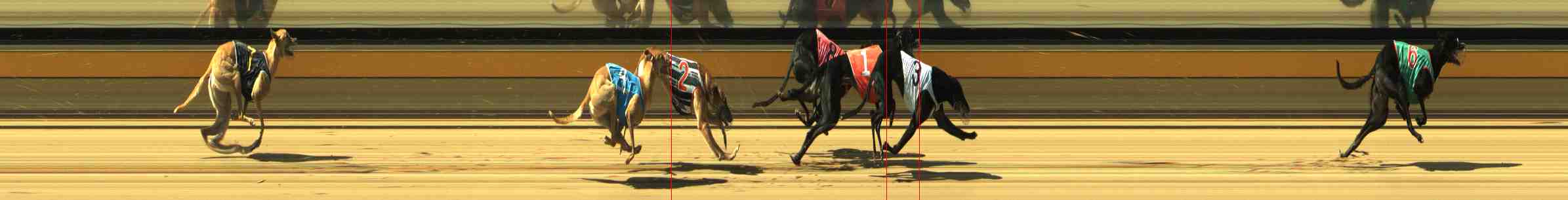 Photo finish for Horsham Race 6