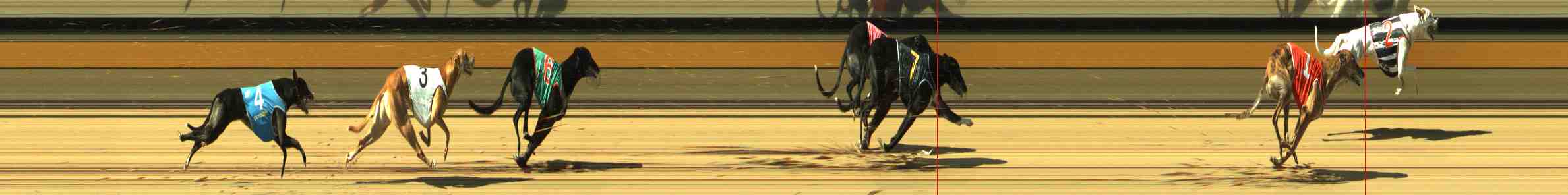 Photo finish for Horsham Race 7