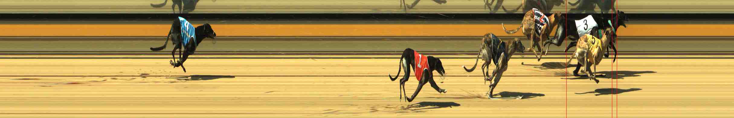 Photo finish for Horsham Race 8