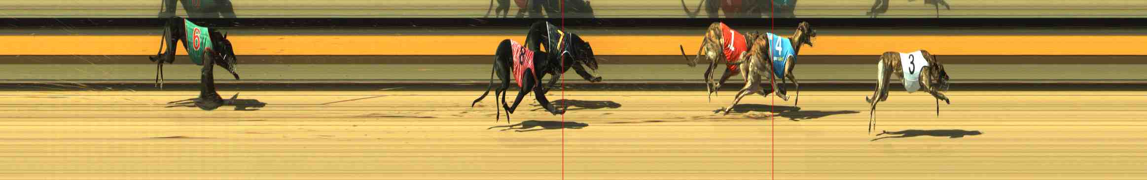 Photo finish for Horsham Race 9