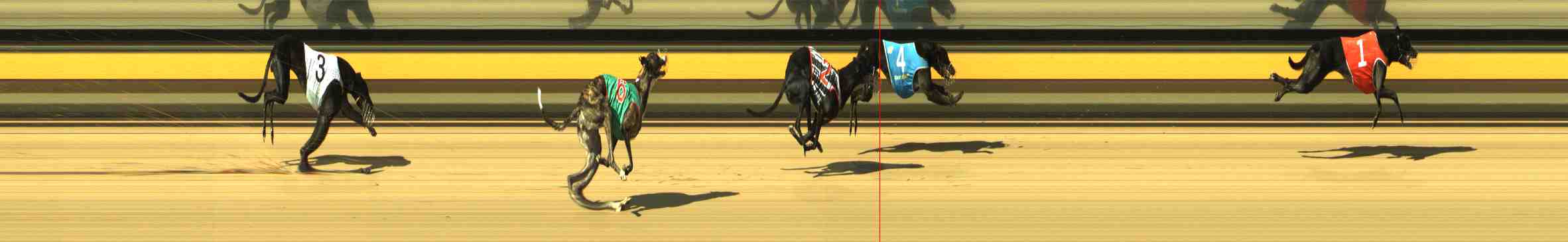 Photo finish for Horsham Race 10