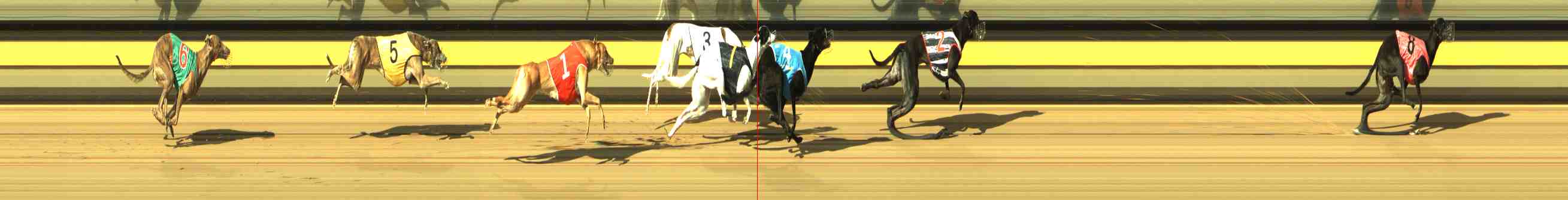 Photo finish for Horsham Race 12