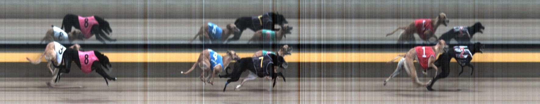 Photo finish for Horsham Race 1