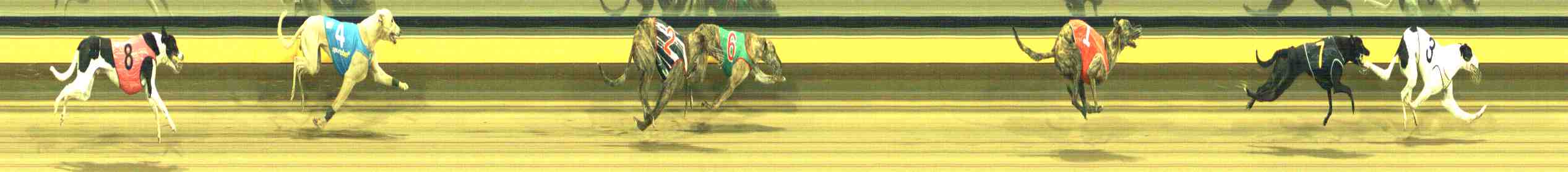 Photo finish for Horsham Race 2