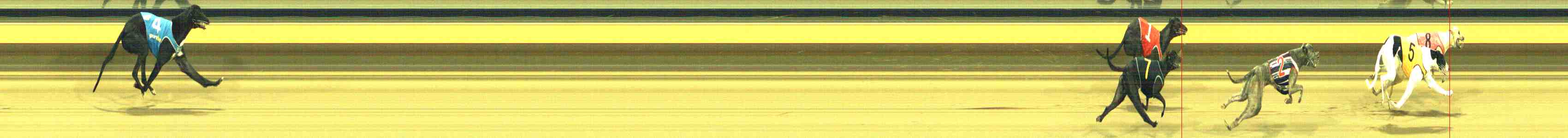 Photo finish for Horsham Race 3