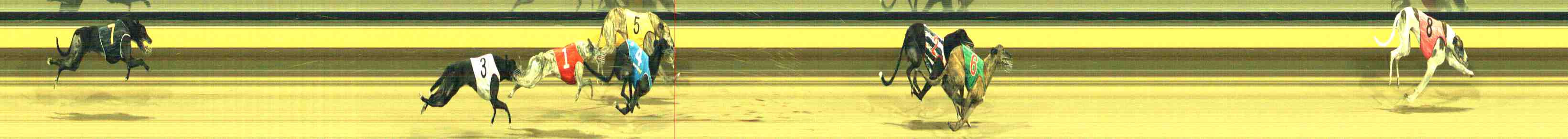 Photo finish for Horsham Race 4
