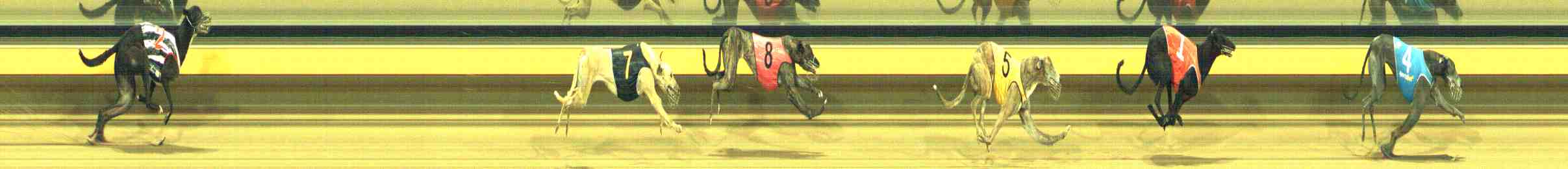 Photo finish for Horsham Race 5